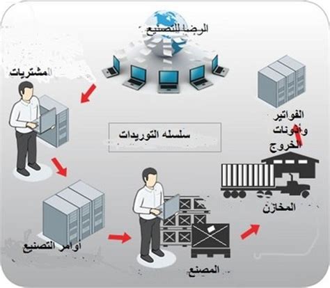 Supply chain بالعربي